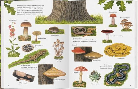 9783836956802 - Sample content