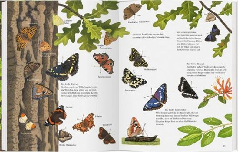 9783836956802 - Sample content