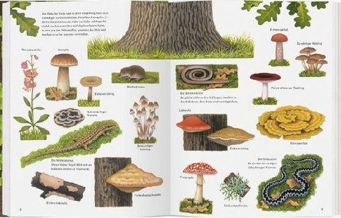 9783836956802 - Sample content