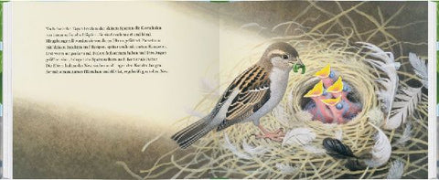 9783836957168 - Sample content