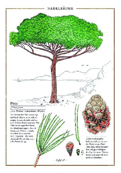 9783836957489 - Sample content