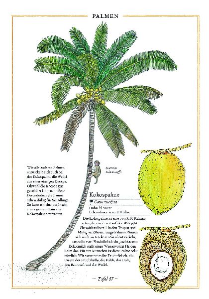 9783836957489 - Sample content