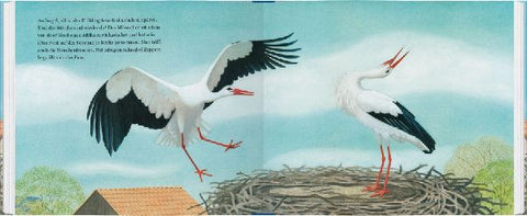 9783836958226 - Sample content