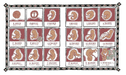 9783836959100 - Sample content