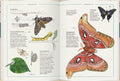 9783836959117 - Sample content