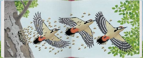 9783836959179 - Sample content