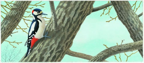 9783836959179 - Sample content