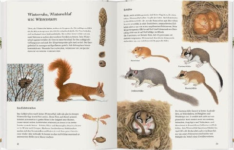 9783836959353 - Sample content