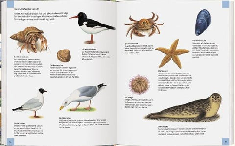 9783836959865 - Sample content