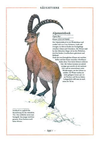 9783836959926 - Sample content