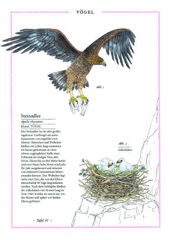 9783836959926 - Sample content