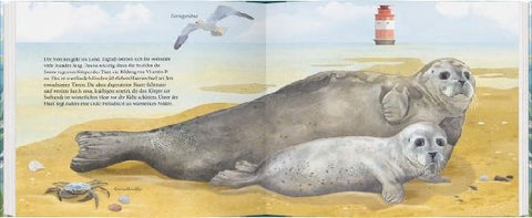 9783836960151 - Sample content