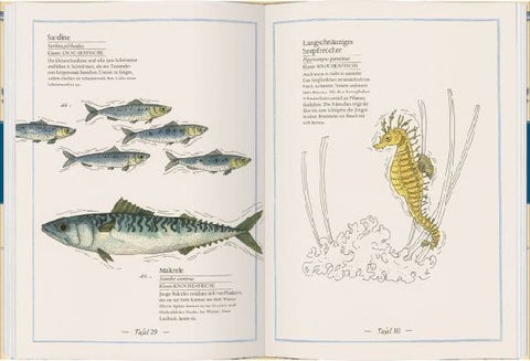 9783836960298 - Sample content