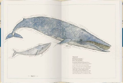 9783836960298 - Sample content