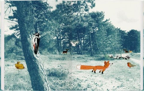 9783836960441 - Sample content