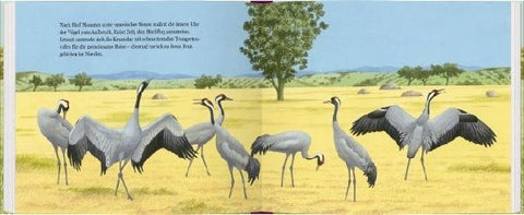 9783836960465 - Sample content