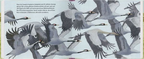 9783836960465 - Sample content