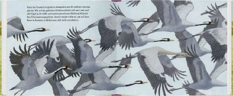 9783836960465 - Sample content