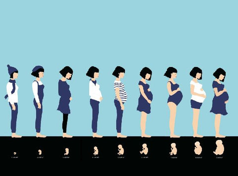 9783836960762 - Sample content