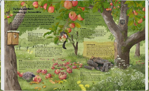 9783836961257 - Sample content