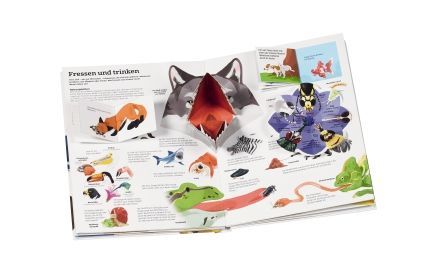 9783836961325 - Sample content