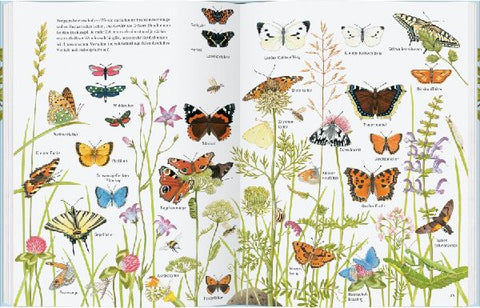 9783836961509 - Sample content