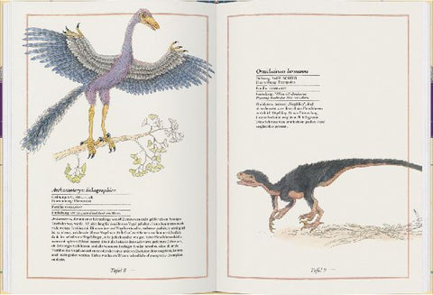 9783836961592 - Sample content