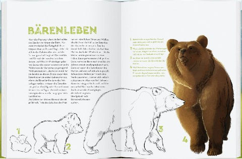 9783836961639 - Sample content