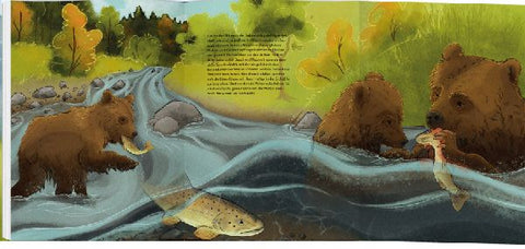 9783836961639 - Sample content