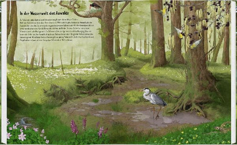 9783836962230 - Sample content