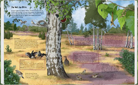 9783836962230 - Sample content