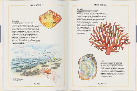 9783836962278 - Sample content