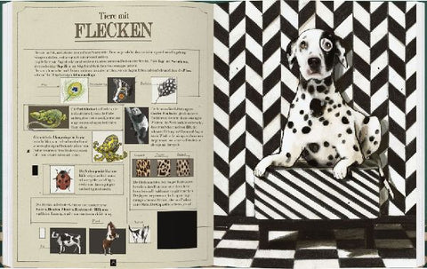 9783836962575 - Sample content