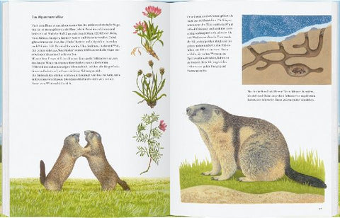 9783836962773 - Sample content