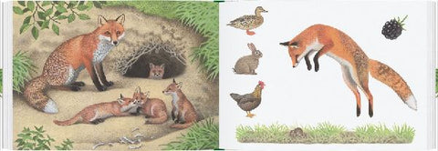 9783836962780 - Sample content