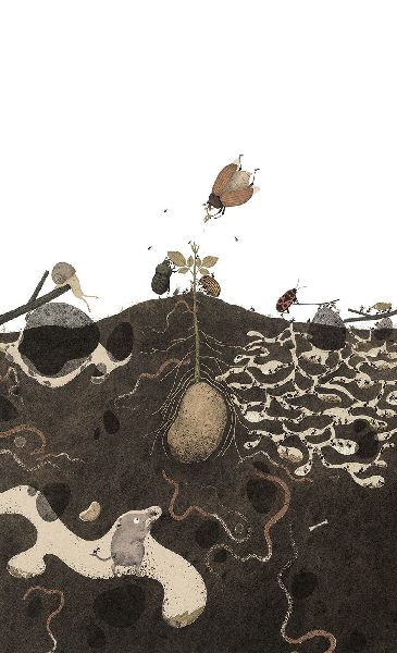 9783836962872 - Sample content