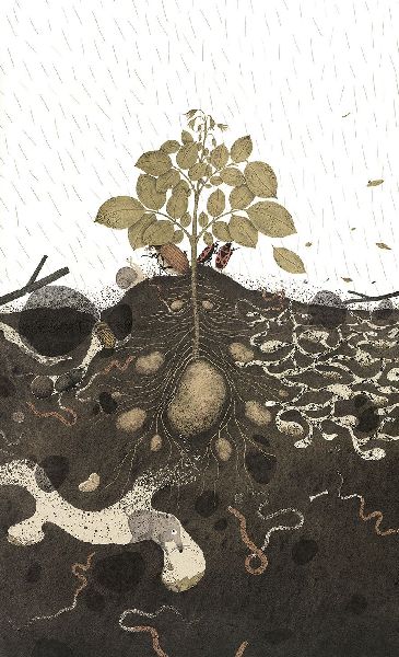 9783836962872 - Sample content