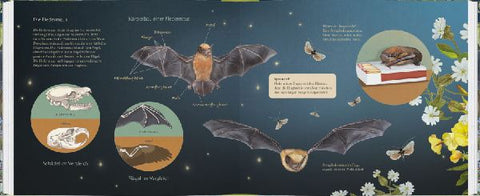 9783836963060 - Sample content