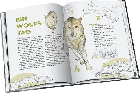 9783836963268 - Sample content