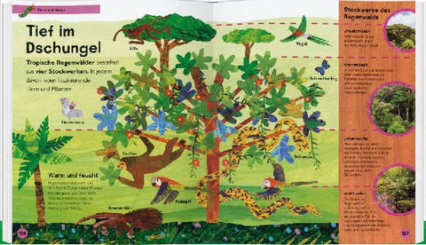 9783836963299 - Sample content