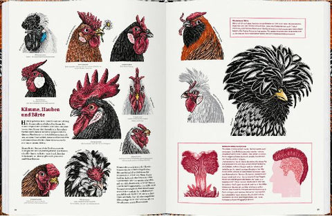 9783836963312 - Sample content