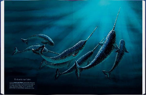 9783836963336 - Sample content