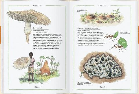 9783836963589 - Sample content