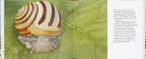 9783836963619 - Sample content