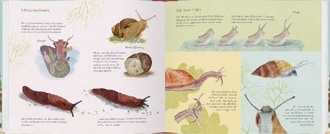 9783836963619 - Sample content