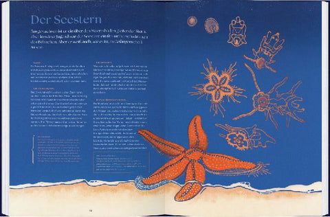 9783836963626 - Sample content