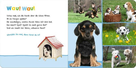 9783845811888 - Sample content