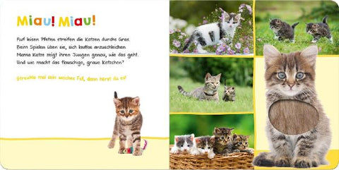 9783845811888 - Sample content