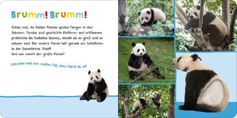 9783845826363 - Sample content