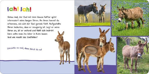 9783845829395 - Sample content